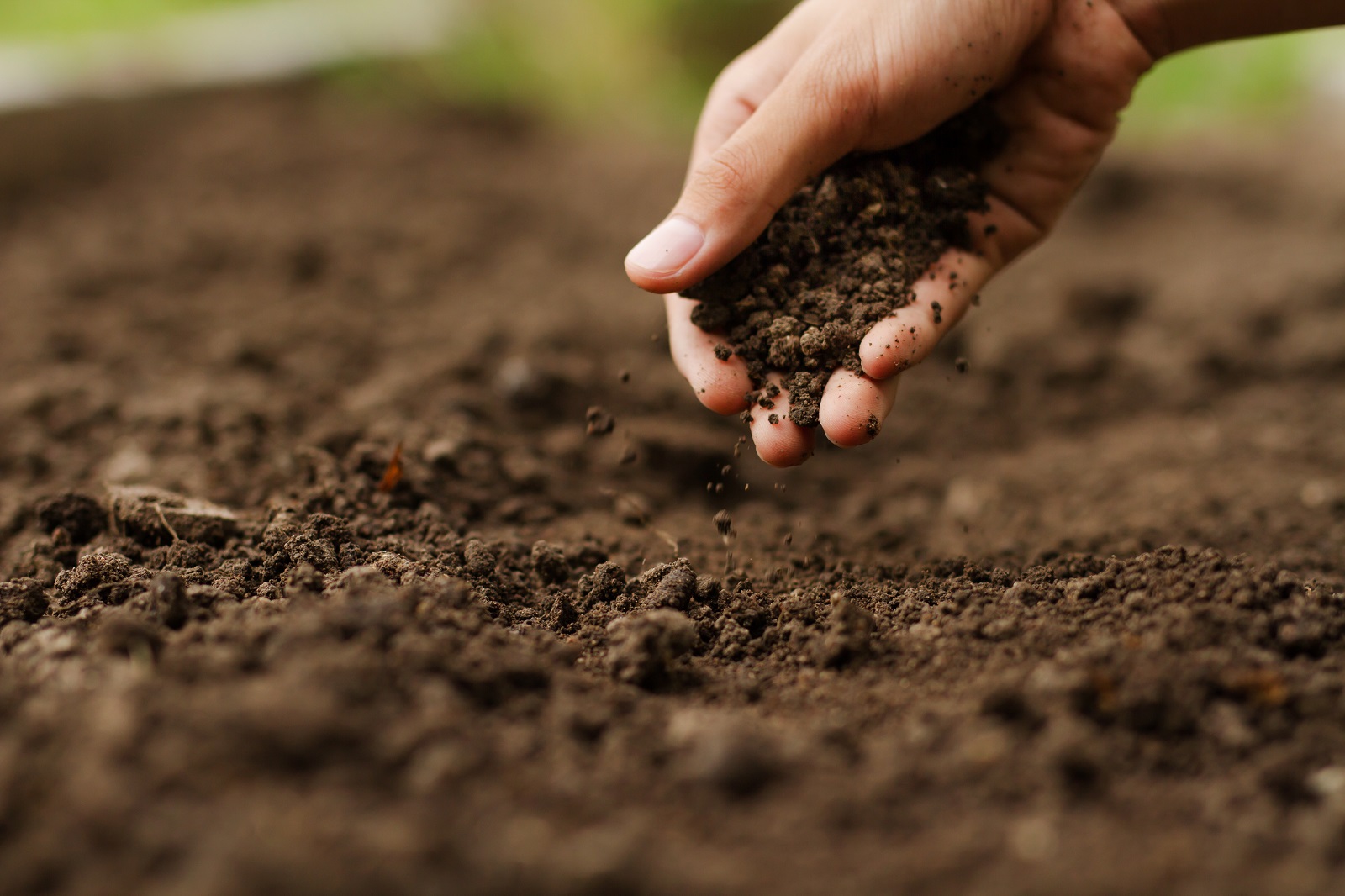 Terre fertile: Préparation et Amendement