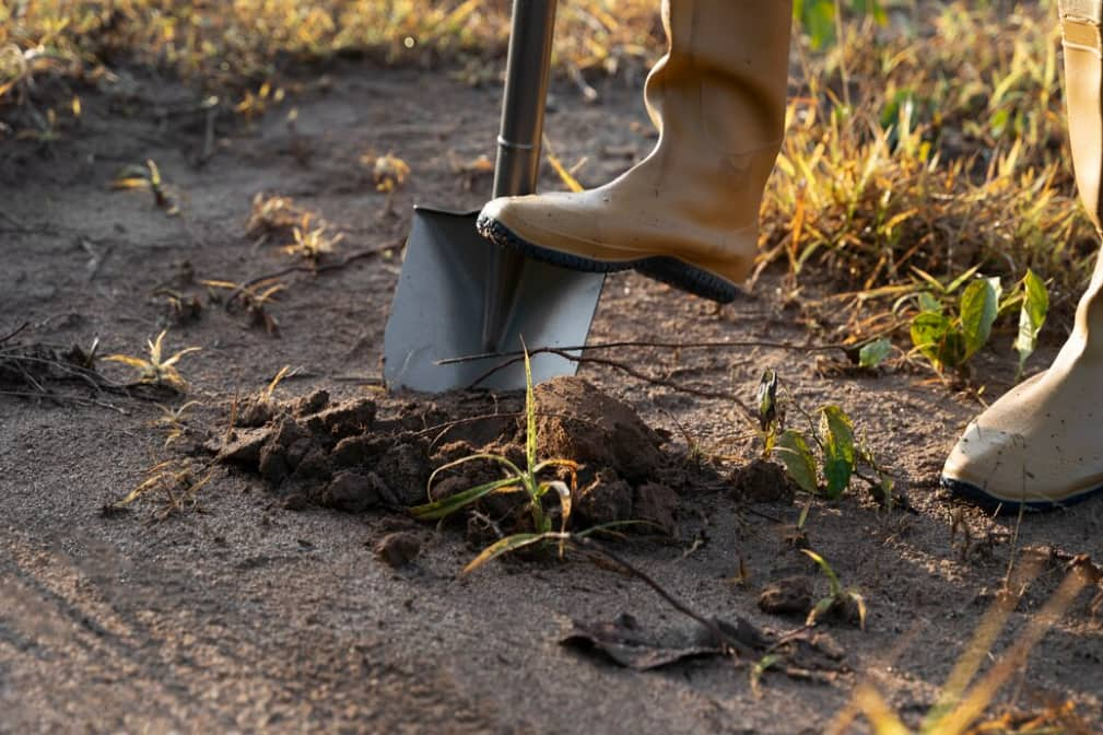 Des bottes en caoutchouc foulent la terre avec une pelle