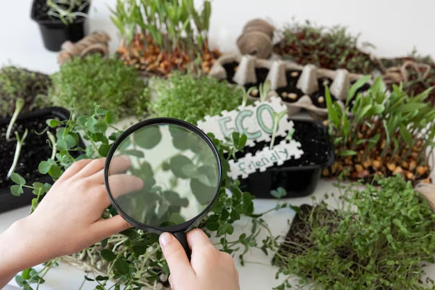 Loupe destinée aux plantes