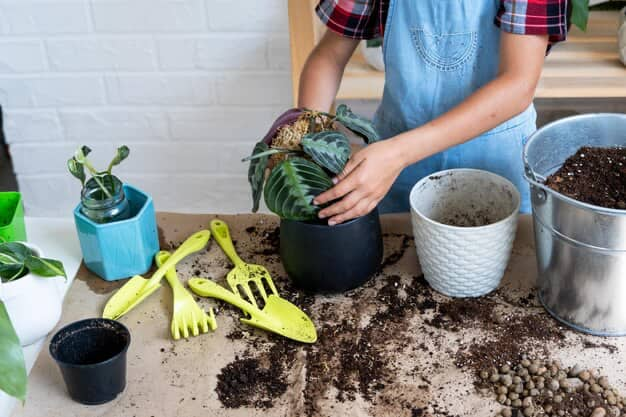 Fille replantant une plante en pot